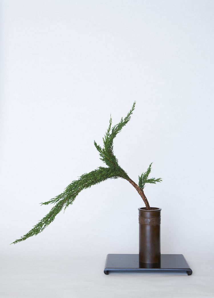 生花(せいか)